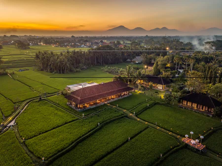 Ubud: Romantic Dinner among the Rice Fields - Why the setting may be worth $279
