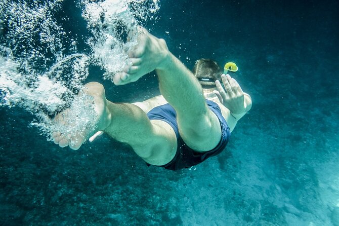 Ultimate Key West Day: Dolphin & Snorkel Combo with Sunset Sail - What is on the dinner table