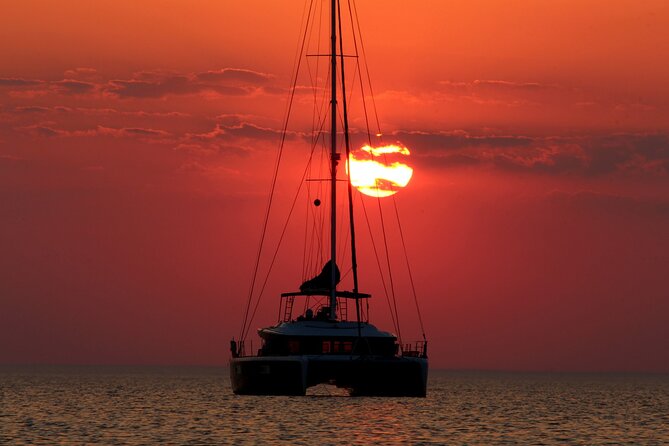 Ultimate Key West Day: Dolphin & Snorkel Combo with Sunset Sail - Who should book this Key West combo?