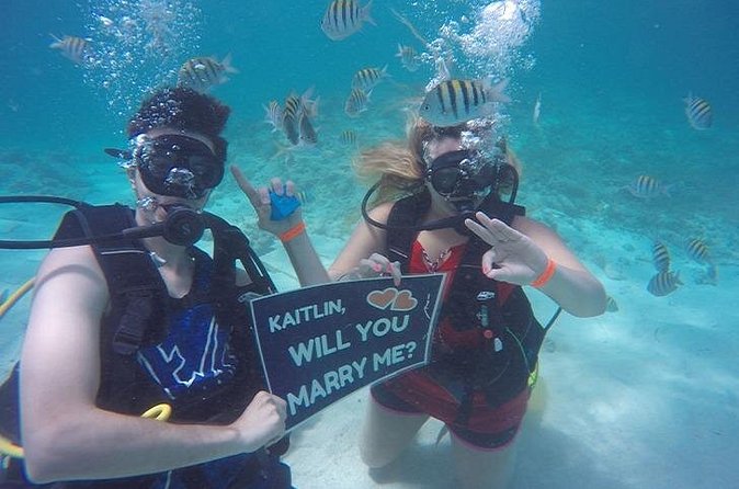 Underwater Marriage Proposal - The Custom Sign Makes the Surprise Clear