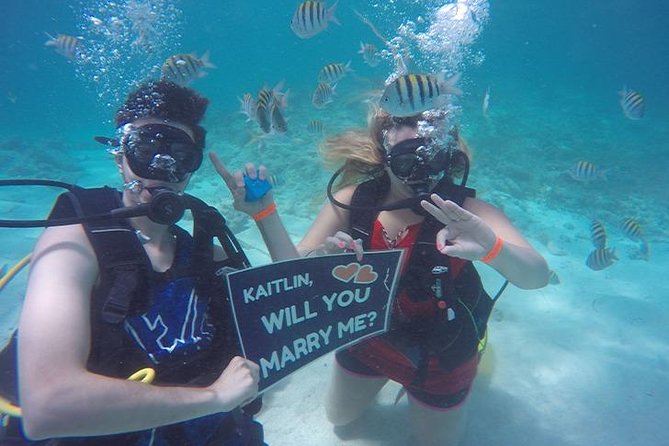 Underwater Marriage Proposal - A Private Beach After the Question