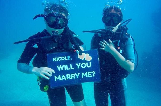 Underwater Marriage Proposal - Weather, Timing, and Cancellation Details
