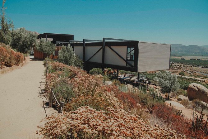 Valle de Guadalupe Couples Wine Tour - Adobe Guadalupe adds lunch and a change of pace