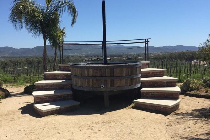 Valle de Guadalupe Couples Wine Tour - A guide who can shape the day