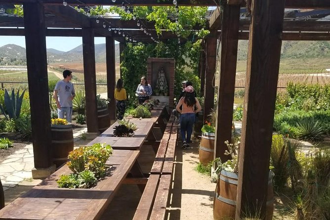 Valle de Guadalupe Couples Wine Tour - What the $165 price really covers