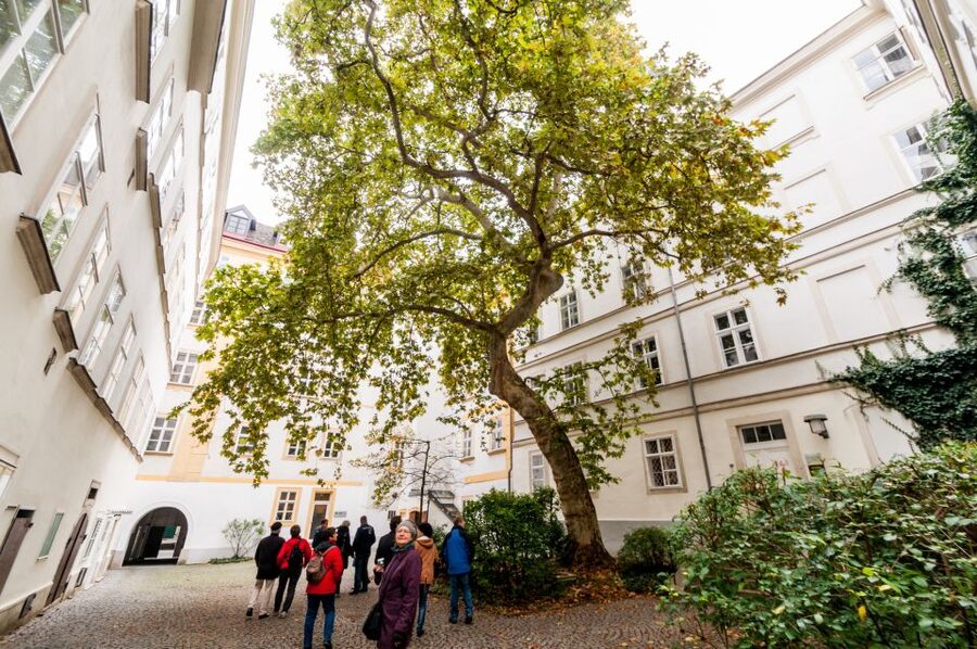 Vienna: Romantic Old Town 2-Hour Discovery Tour - Myths, animals, and Vienna’s storytelling habit