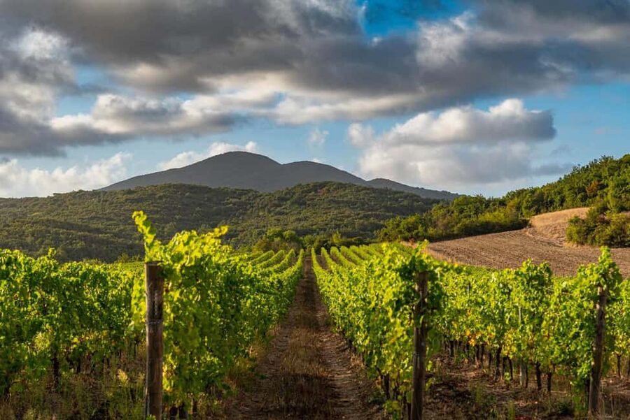 Wine tasting in a romantic castle with archaeologist guide - What the Experience Does Best