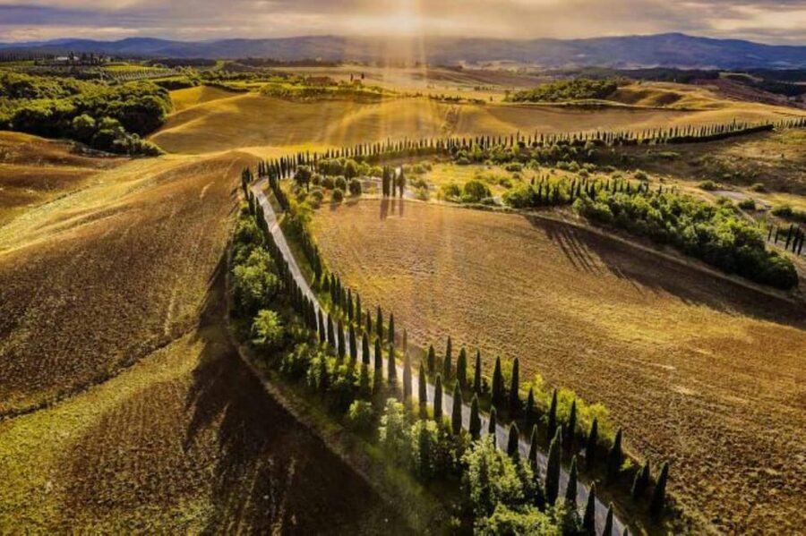 YOUR HONEYMOON IN TUSCANY: Private Chianti Wine Tasting Tour - Should you book this Tuscany tour?
