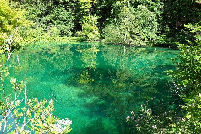 Zagreb airport or Zagreb to Split via Plitvice lakes for singles or couples - What the flexible schedule really means